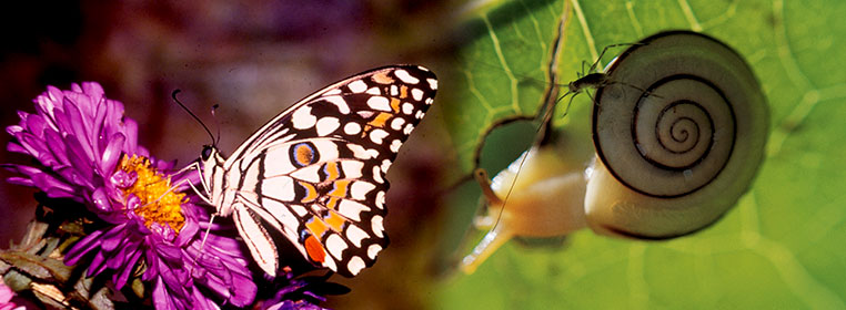 Environment Science