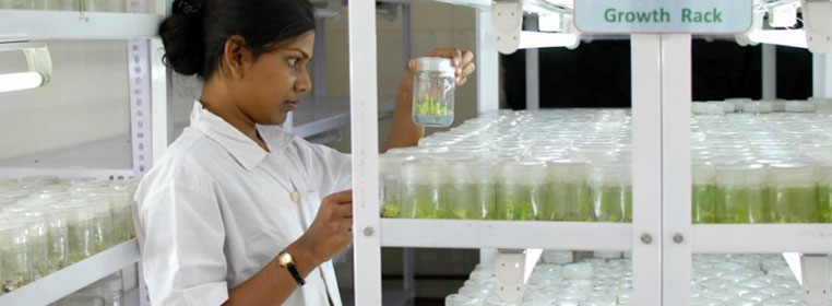 Bio-Technology