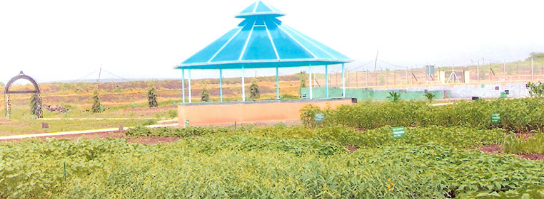 Agriculture