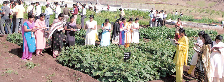 Agriculture