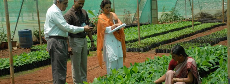 Bio-Technology