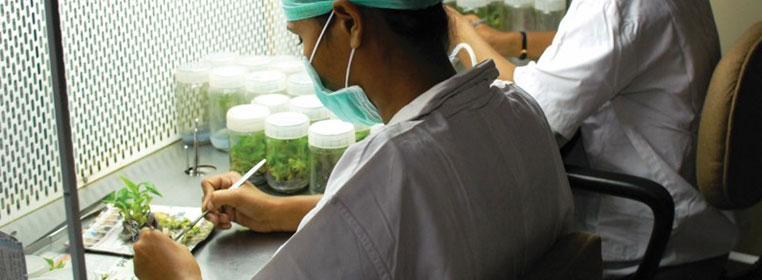 Bio-Technology