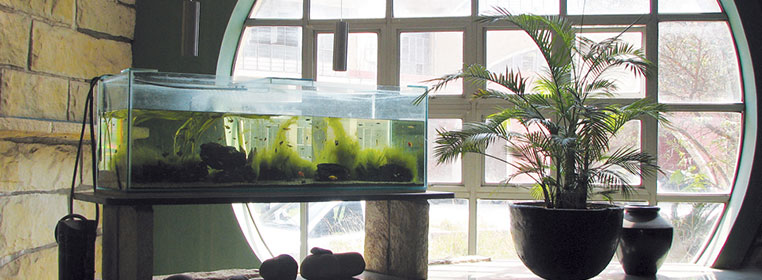 Environment Science