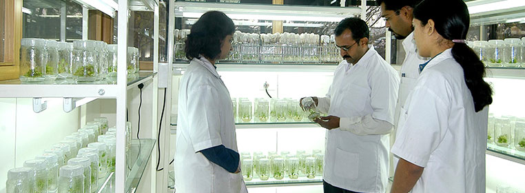 Pharmacy