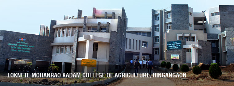 Experience Campus Life Kadegaon Group